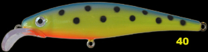 V�ri nro.40