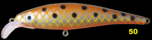 V�ri nro.50